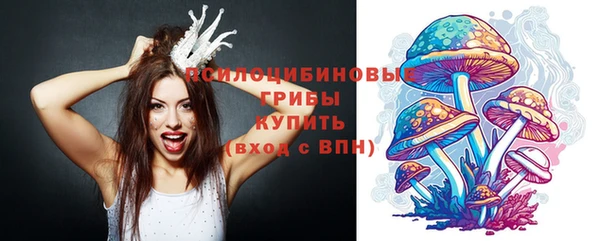 apvp Снежинск