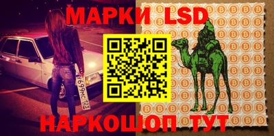 гидропоника Гагарин