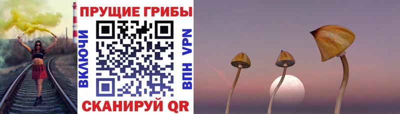 Псилоцибиновые грибы ЛСД  Керчь 