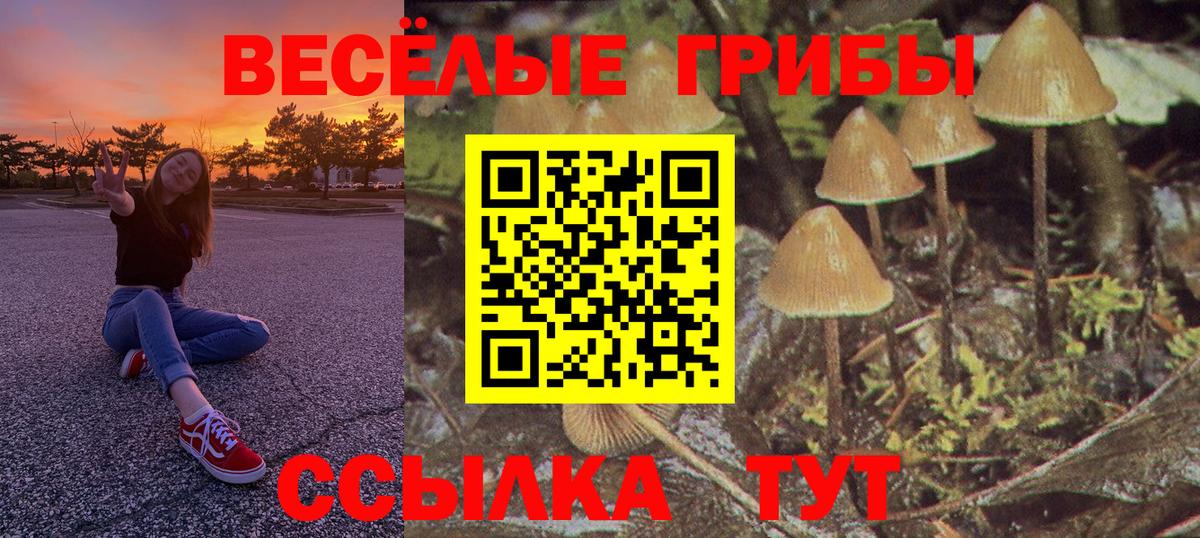 Галлюциногенные грибы мицелий Керчь